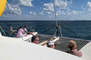 Nassau: Snorkel, Playa del Cerdo, Nadar con Tortugas y Almuerzo