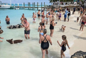 Nassau: Snorkel, Playa del Cerdo, Nadar con Tortugas y Almuerzo