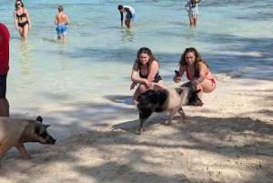 Nassau: Snorkel, Playa del Cerdo, Nadar con Tortugas y Almuerzo