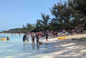 Nassau: Snorkel, Playa del Cerdo, Nadar con Tortugas y Almuerzo