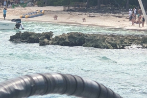 Nassau: Snorkel, Playa del Cerdo, Nadar con Tortugas y Almuerzo