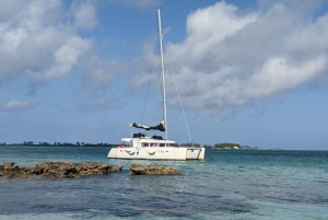 Nassau: Snorkel, Playa del Cerdo, Nadar con Tortugas y Almuerzo