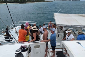 Nassau: Snorkel, Playa del Cerdo, Nadar con Tortugas y Almuerzo