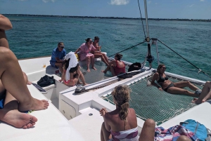 Nassau: Snorkeling, Pig Beach, Swim with Turtles, and Lunch