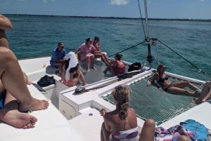 Nassau: Snorkel, Playa del Cerdo, Nadar con Tortugas y Almuerzo