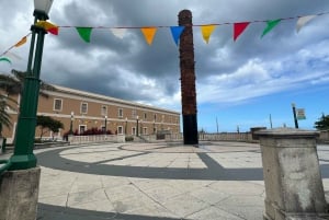 Old San Juan: Walking Tour with Shopping and Hotel Transfer