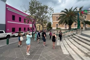 Old San Juan: Walking Tour with Shopping and Hotel Transfer