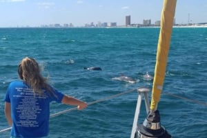 Panama City Beach: Dolphin Sightseeing Trip by Catamaran