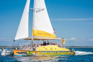 Panama City Beach: Dolphin Sightseeing Trip by Catamaran
