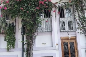 Panama City: Canal, Amador Causeway, and Old Town Tour