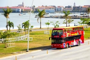 Panama City: City Sightseeing Hop-On Hop-Off Bus Tour