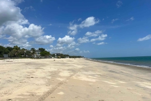 Panamá City: Guided Day Tour