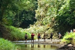 Panama: The Chagres Rainforest Experience