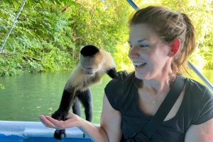 Panamá: Wildlife Boat Tour in the Panama Canal Lake