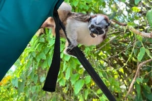 Panamá: Wildlife Boat Tour in the Panama Canal Lake