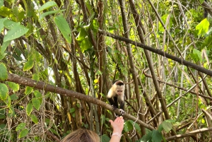 Panamá: Wildlife Boat Tour in the Panama Canal Lake