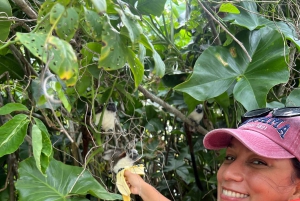 Panamá: Wildlife Boat Tour in the Panama Canal Lake