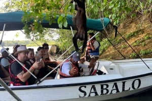 Panamá: Wildlife Boat Tour in the Panama Canal Lake
