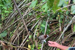 Panamá: Wildlife Boat Tour in the Panama Canal Lake