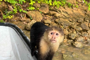 Panamá: Wildlife Boat Tour in the Panama Canal Lake