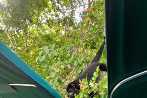 Panamá: Wildlife Boat Tour in the Panama Canal Lake