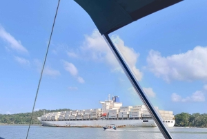 Panamá: Wildlife Boat Tour in the Panama Canal Lake