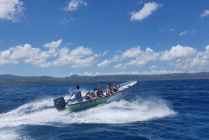 Excursión Privada Isla Paraíso +Snorkeling +Santuario de Manatíes