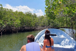 Paradise Island Private Tour +Snorkeling +Manatee Sanctuary