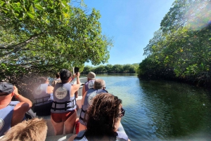 Paradise Island Private Tour +Snorkeling +Manatee Sanctuary