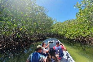 Paradise Island Private Tour +Snorkeling +Manatee Sanctuary