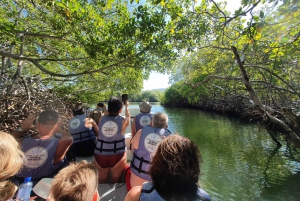 Excursión Privada Isla Paraíso +Snorkeling +Santuario de Manatíes