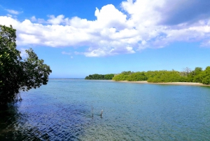 Excursión Privada Isla Paraíso +Snorkeling +Santuario de Manatíes