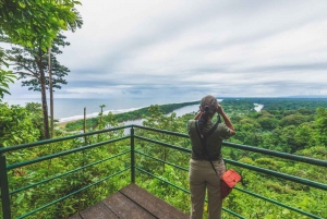 Parque Nacional Tortuguero: Senderismo por un volcán inactivo