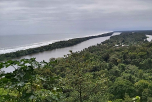 Parque Nacional Tortuguero: Hiking an Inactive Volcano