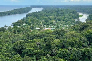 Parque Nacional Tortuguero: Senderismo por un volcán inactivo