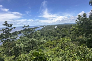 Parque Nacional Tortuguero: Senderismo por un volcán inactivo