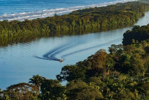 Parque Nacional Tortuguero: Senderismo por un volcán inactivo