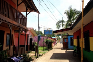 Parque Nacional Tortuguero: Senderismo por un volcán inactivo