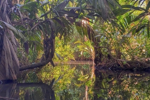 Parque Nacional Tortuguero: Senderismo por un volcán inactivo