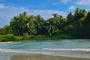 Percussive Massage Therapy + Assisted Stretching on beach