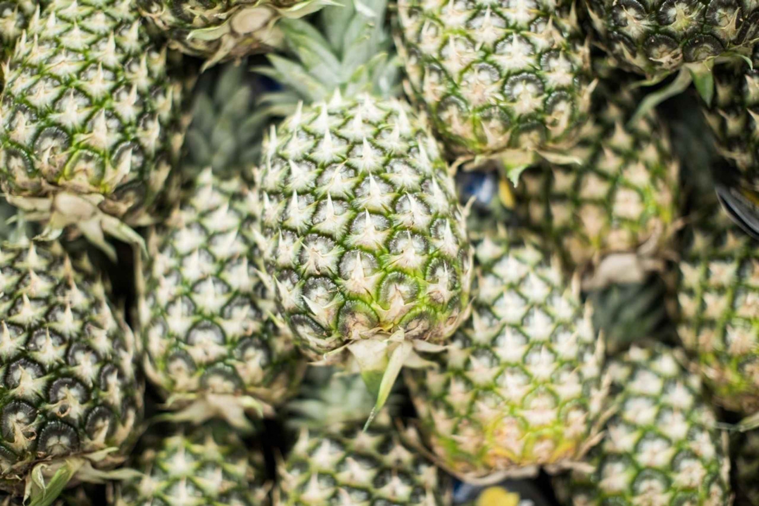 Pineapples: Welcome to the Best Organic Pineapple Tour
