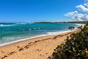 Desde San Juan: Playa de Pinones y tour gastrónomico de bar en bar