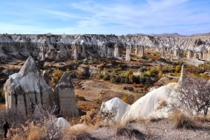 TOUR PRIVADO DE CAPADOCIA ( COCHE + GUÍA )