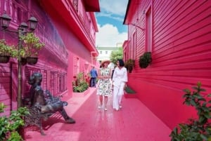 Private City Highlights Shore Excursion & Guided Tour
