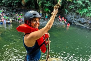 San Juan: El Yunque Half-Day Guided Tour with Transportation