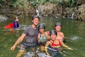 San Juan: El Yunque Half-Day Guided Tour with Transportation