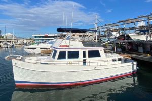 Private 'Party Boat' San Juan Bay | Sunset Cruise Experience