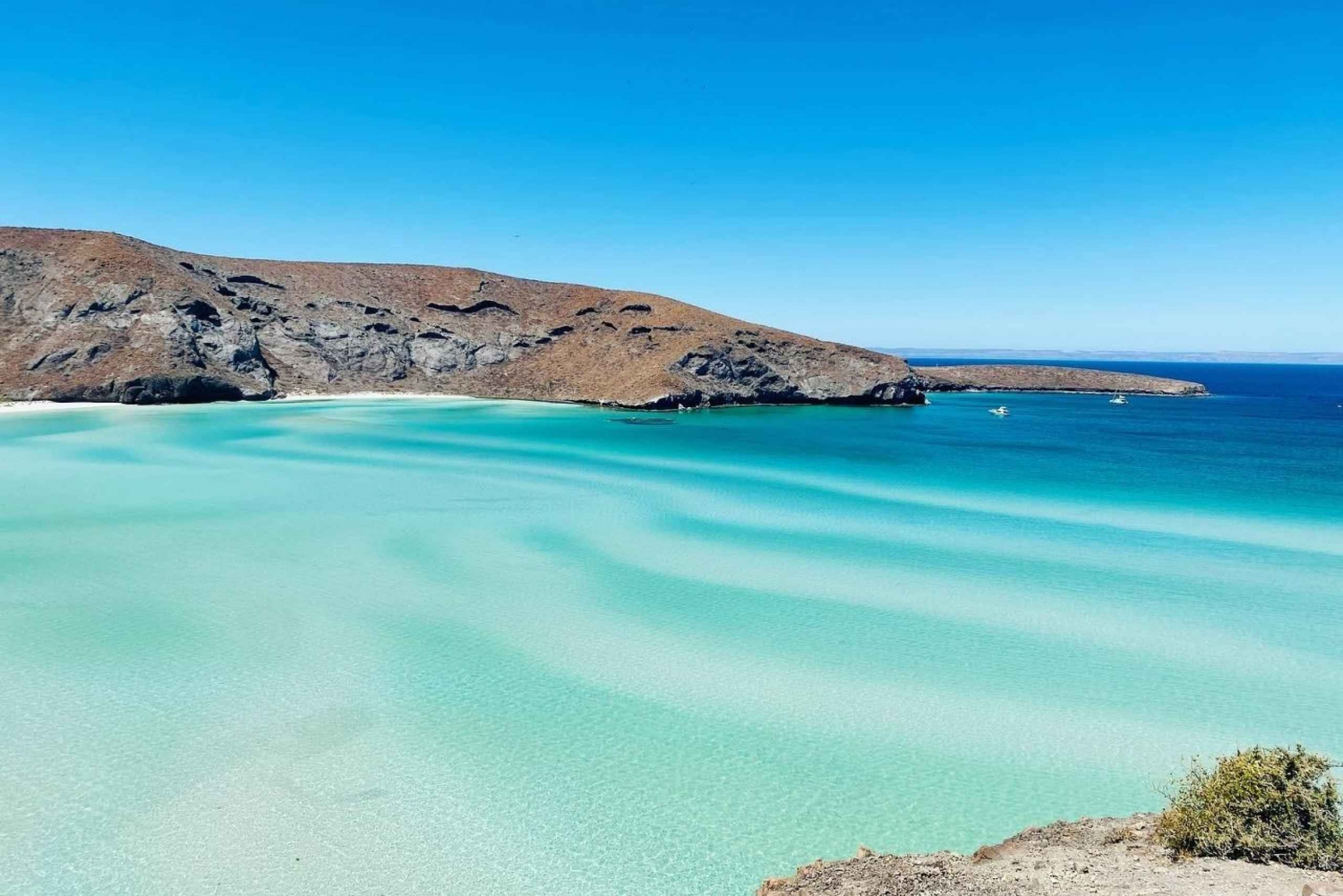 Tour privado a La Paz, Balandra y Todos Santos desde CABO