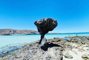 Tour privado a La Paz, Balandra y Todos Santos desde CABO