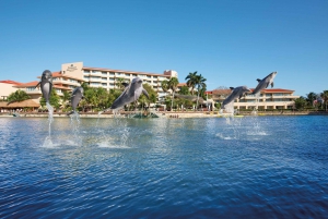 Puerto Aventuras: Dolphin Royal Swim & Kayaking with Buffet